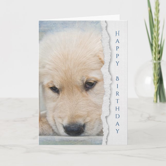 Carte anniversaire de chiot de golden retriever (Devant)