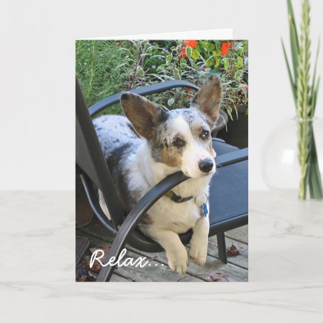 Carte Anniversaire de corgi (Devant)