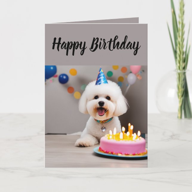 Carte Anniversaire de Cute Bichon Frisé (Devant)