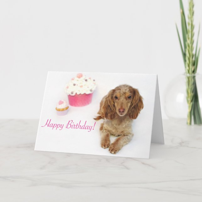 Carte Anniversaire de Dachshund (Devant)