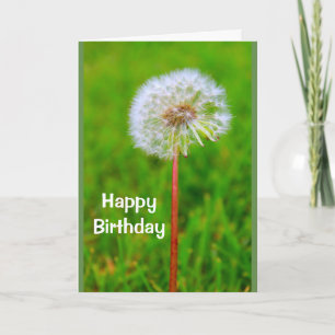 Carte Anniversaire de Dande je ne suis pas lion