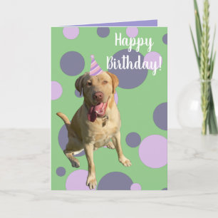 Carte Anniversaire de Dudley Labrador