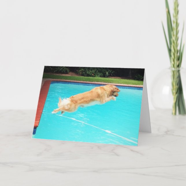 Carte Anniversaire de golden retriever (Devant)