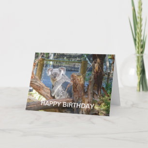 Carte Anniversaire de Koala