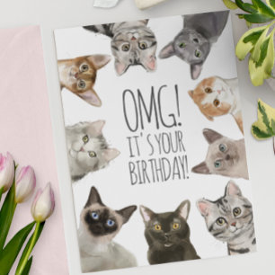 Carte Anniversaire de la dame du chat   OMG ! C'est ton 