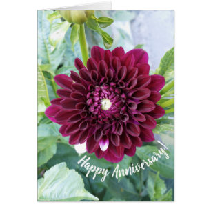 Carte Anniversaire de la fleur Dahlia violette pro