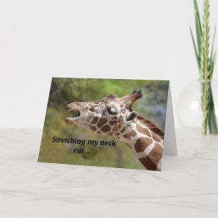 Carte Anniversaire de la Giraffe