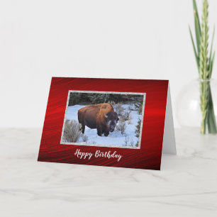 Carte Anniversaire de la photo de neige de Buffalo