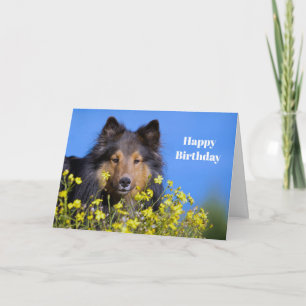 Carte Anniversaire de la photo florale de Sheltie
