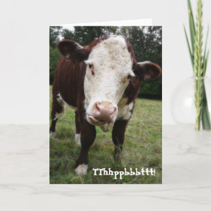 Carte Anniversaire de la vieille vache à tarte amusante