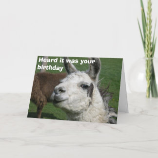Carte Anniversaire de lama