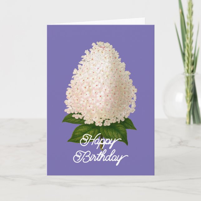 Carte Anniversaire de l'élégante Hydrangea Paniculata Vi (Devant)