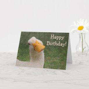 Carte Anniversaire de l'oie humoristique