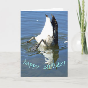 Carte Anniversaire de l'oie plongeur