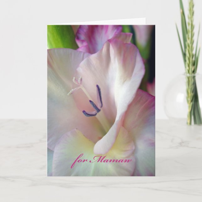 Carte Anniversaire de Mamaw, Gladiolus Flower Photograph (Devant)