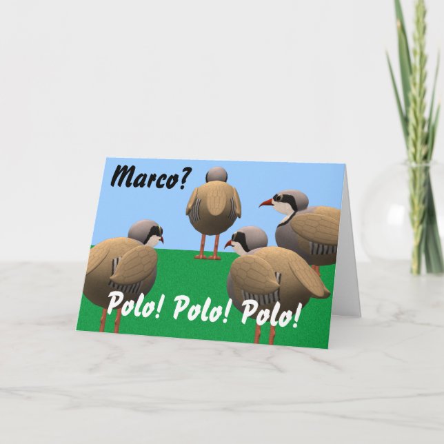 Carte Anniversaire de Marco Polo (Devant)