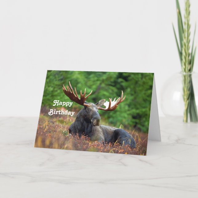 Carte Anniversaire de Moose (Devant)