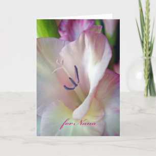 Carte Anniversaire de Nana, Gladiolus rose, Macro Photo