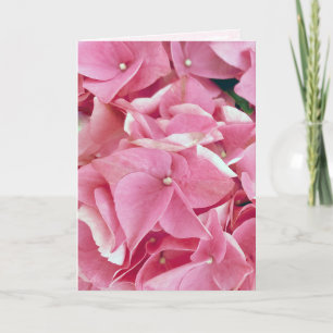 Carte Anniversaire de Pink Hydrangea