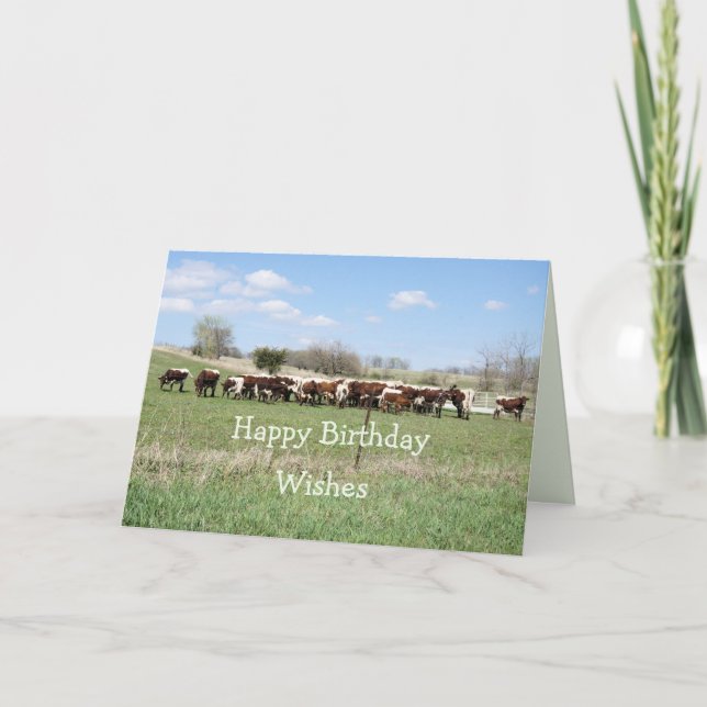 Carte Anniversaire de Pinzgauer 8399 - customisez (Devant)
