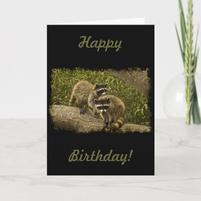 Carte Anniversaire de ratons laveurs (Devant)