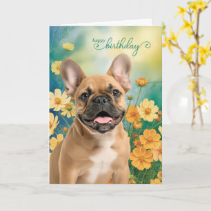 Carte Anniversaire de Tiny Orange Cosmos Bouledogue Fran