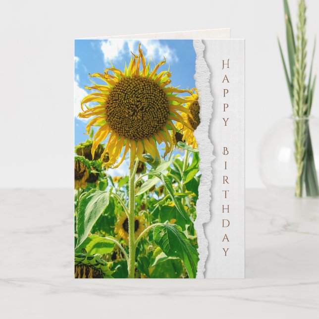 Carte Anniversaire de tournesol d'été (Devant)