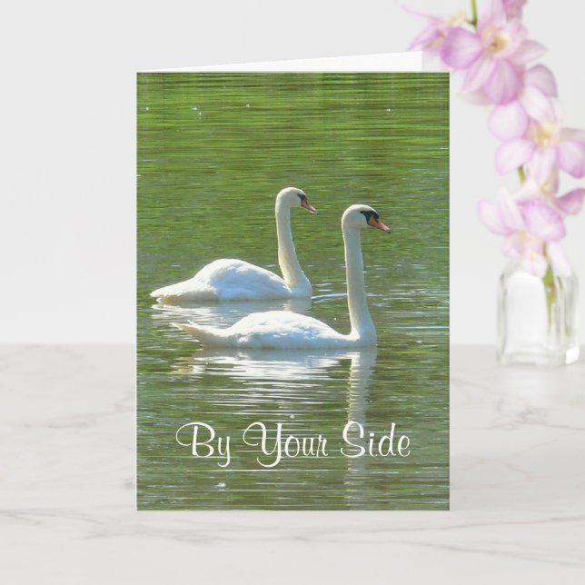 CARTE ANNIVERSAIRE, "DE VOTRE CÔTÉ", DEUX SWANS BLANCS, (Orchidée)
