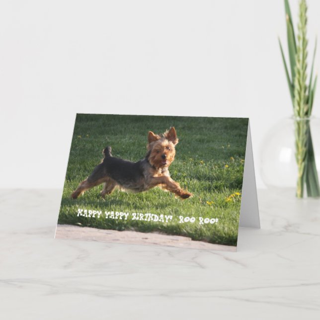 CARTE ANNIVERSAIRE DE YORKIE (Devant)