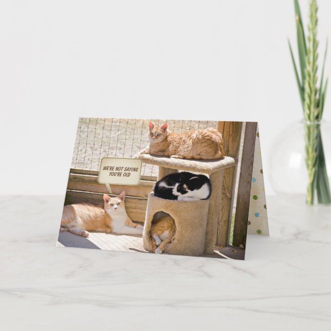 Carte anniversaire des chats endormis (Devant)