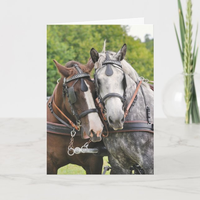 Carte Anniversaire des chevaux chatty (Devant)