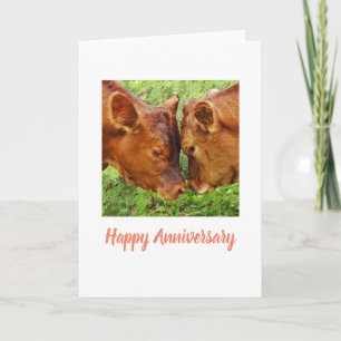 Carte Anniversaire des deux vaches