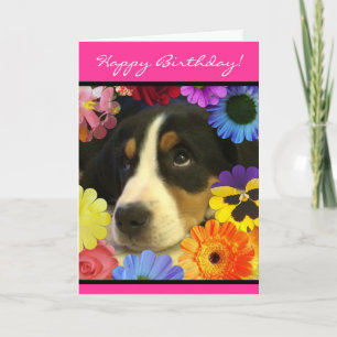 Carte Anniversaire des yeux chiots