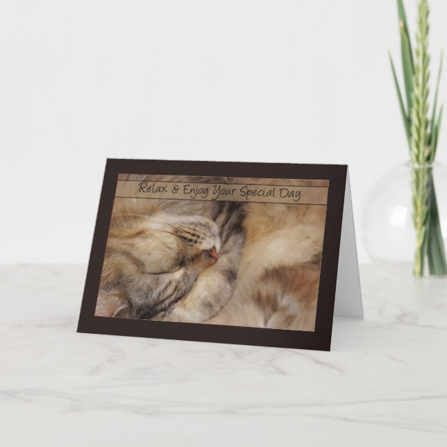 Carte Anniversaire Détendez-Vous Avec Chat Maine C (Devant)