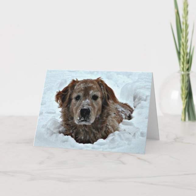 Carte Anniversaire d'hiver Humour avec chien mignon (Devant)