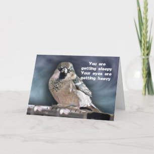 Carte Anniversaire d'oiseaux hypnotisants