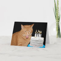 Anniversaire drôle de chat