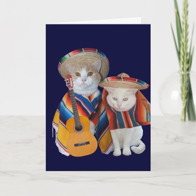 Carte Anniversaire drôle de chat pour mari en espagnol (Devant)