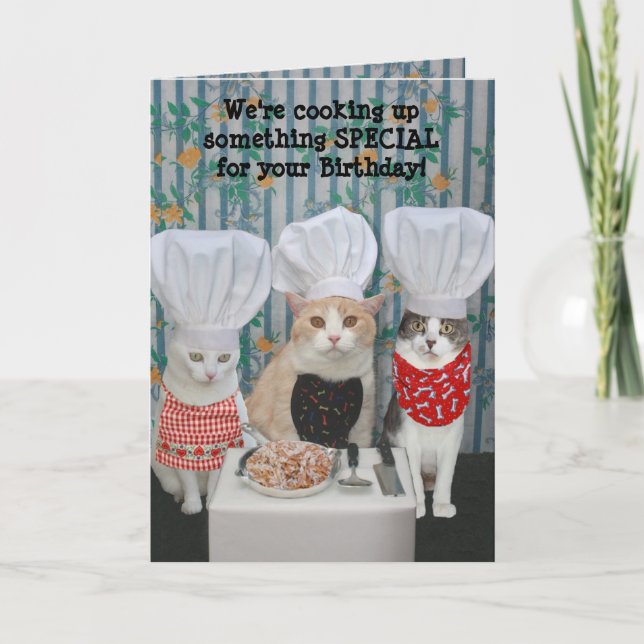 Carte Anniversaire drôle de chats de chef (Devant)