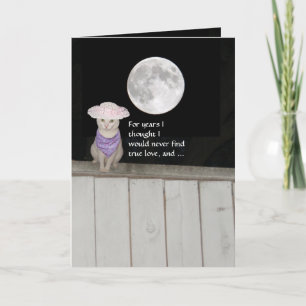 Carte Anniversaire drôle de chats pour mari