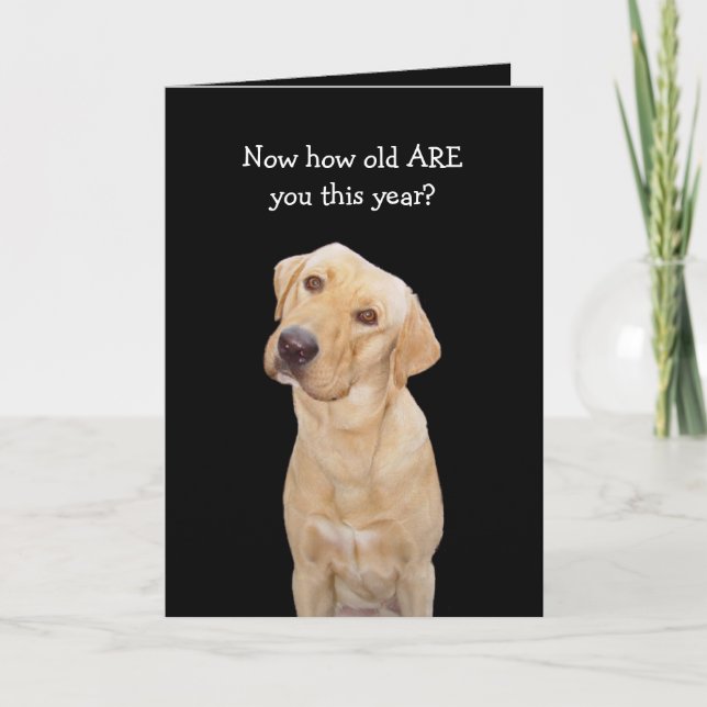 Carte Anniversaire drôle de chien/laboratoire (Devant)