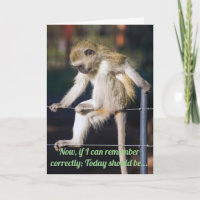 Anniversaire drôle de singe