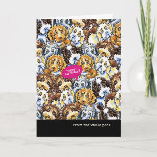 Carte Anniversaire drôle des chiens de race mélangés par