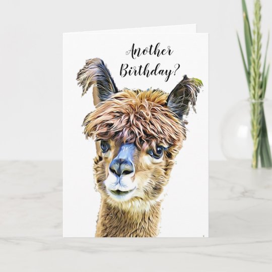 Carte Anniversaire Drole D Humour De Lama D Alpaga Zazzle Ch