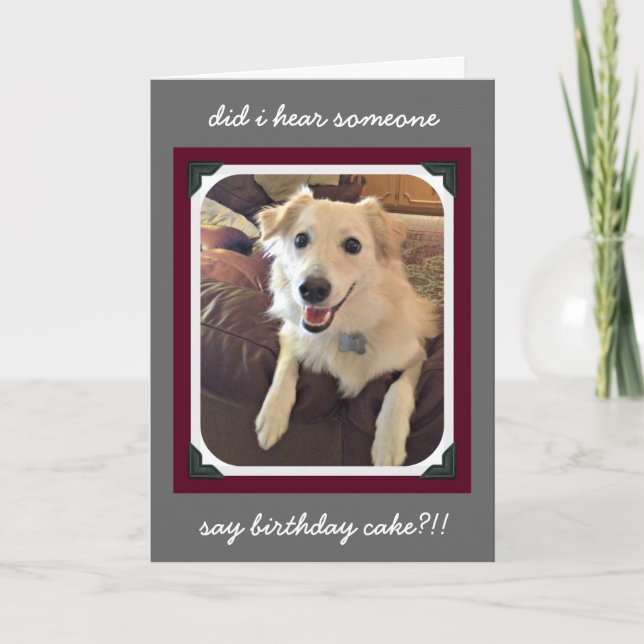 Carte Anniversaire drôle, mignon chien d'anniversaire de (Devant)