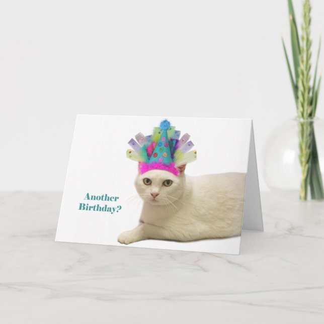 Carte Anniversaire du chat blanc (Devant)