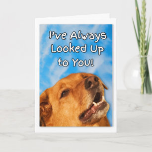 Carte Anniversaire du chien Golden Retriever