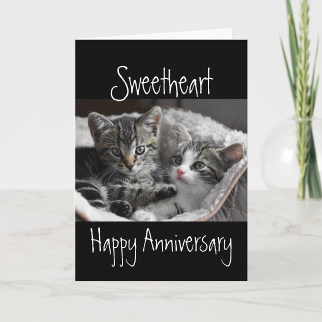 Carte Anniversaire du coeur du coeur du coeur du chat an (Devant)