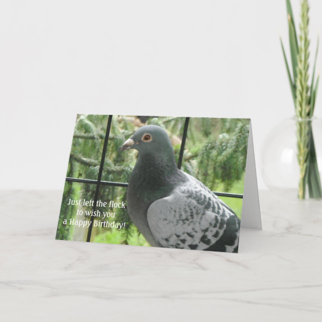 Carte Anniversaire du cool Pigeon (Devant)