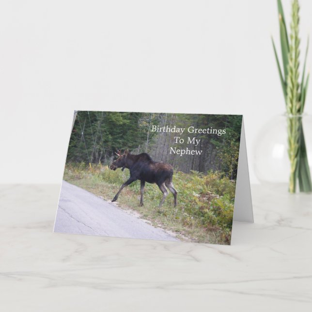 Carte Anniversaire du jeune orignal sur la route-Nephew (Devant)